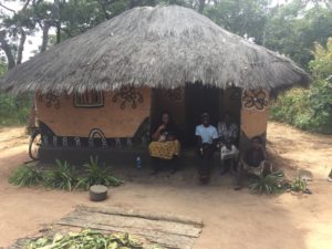 Social Impact (SIA) Surveys
